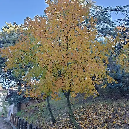 Coralupi לינה וארוחת בוקר