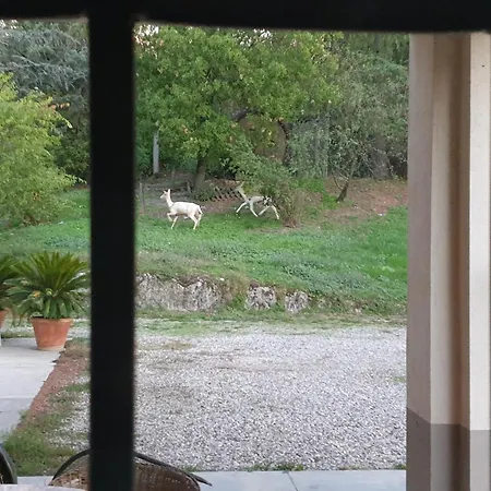 Nocleg ze śniadaniem Coralupi San Lazzaro di Savena