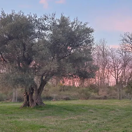 Nocleg ze śniadaniem Coralupi 3*