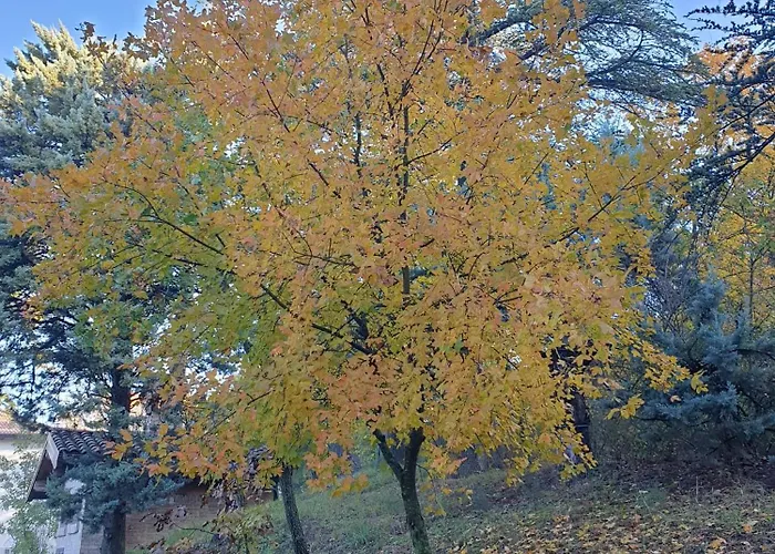 Coralupi Couette-café