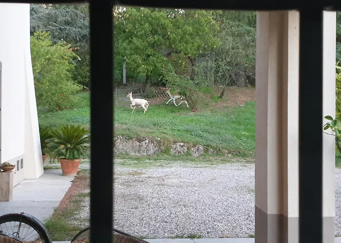 Couette-café Coralupi San Lazzaro di Savena