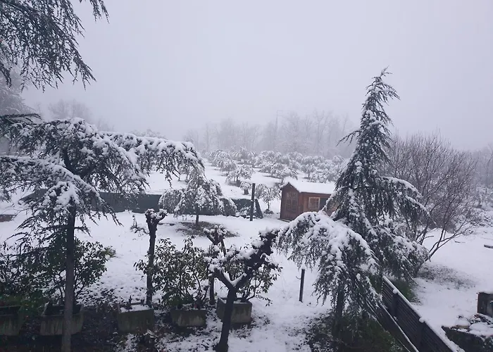 Coralupi 3* San Lazzaro di Savena