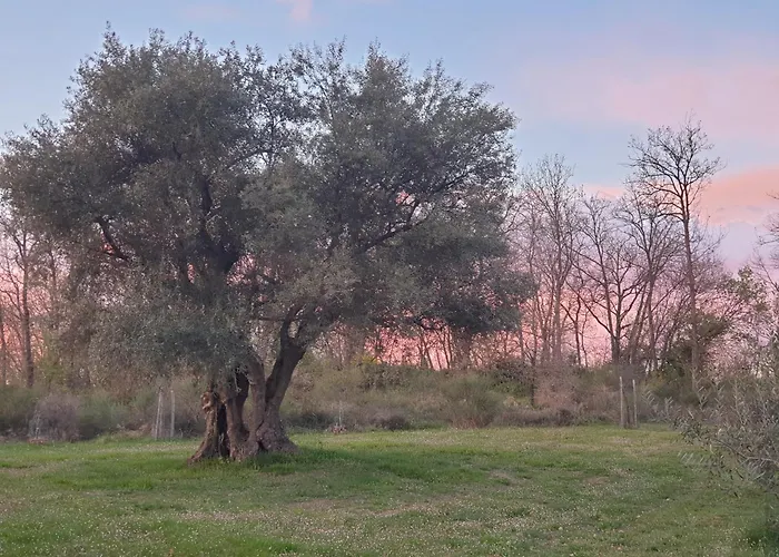 Couette-café Coralupi 3*